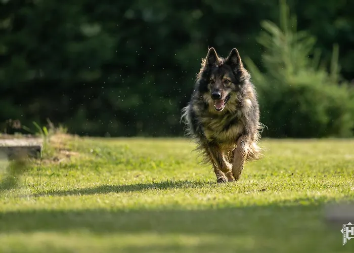 Дом отдыха Majcia